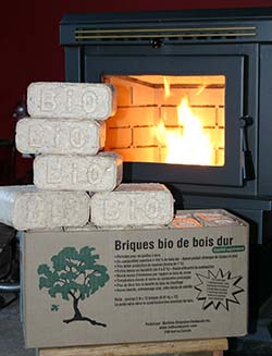 BioBricks